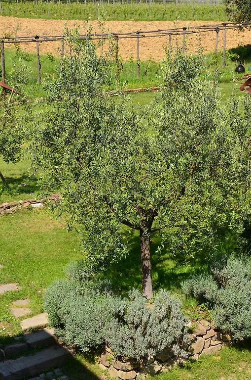 Villa Agriturismo Al Podere Di Rosa à SantʼAlessio Siculo Séjour à la ferme